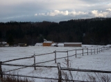 Pastviny - leden 2012
