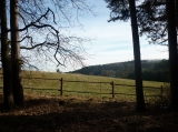 Pohled na pastviny z lese - únor 2012