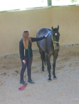 Horsemanship I. s Vaškem Bořánků - jaro 2015