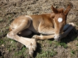 Druhý den po narození - April vypadá stále křehce