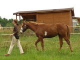 Helča a Buck_červenec 2010 Helča a Buck_červenec 2010