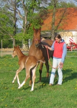 Běžííím! 26.4.2009 Běžííím! 26.4.2009