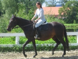Dolly a Peťa na jízdárně - červenec 2009 Dolly a Peťa na jízdárně - červenec 2009