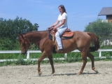 srpen 2009 srpen 2009