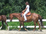 srpen 2009 srpen 2009
