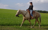 Helča a Sugar na jízdárně - červenec 2012