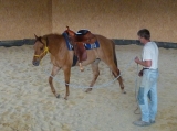 Příprava ze země v kruhovce...květen 2011 Příprava ze země v kruhovce...květen 2011