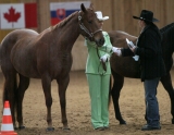 Tízík a Peťa_Showmanship at halter_1.místo :) Tízík a Peťa_Showmanship at halter_1.místo :)