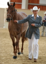 Tízík a Peťa_Showmanship at halter