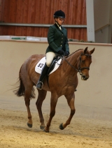 Tízík a Peťa_II_Hunter under saddle