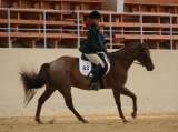 Tízík a Peťa_III_Hunter under saddle